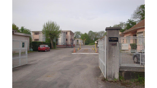 FEIGEL - Visual
