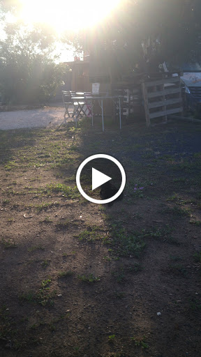 Photo 2 - Burger Émeraude