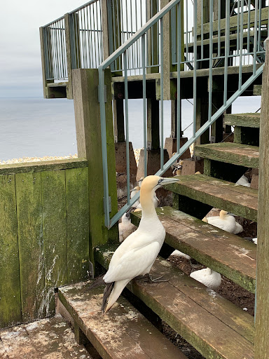 Poissonnerie de Gaspé - Thumbnail