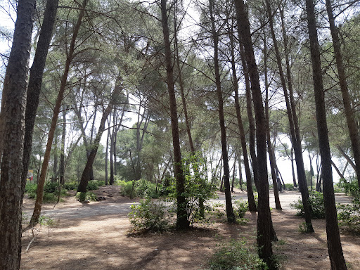 Parc départemental de Bessilles - Thumbnail