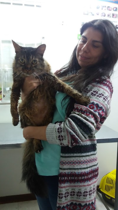 Photos of wow veterinary clinic