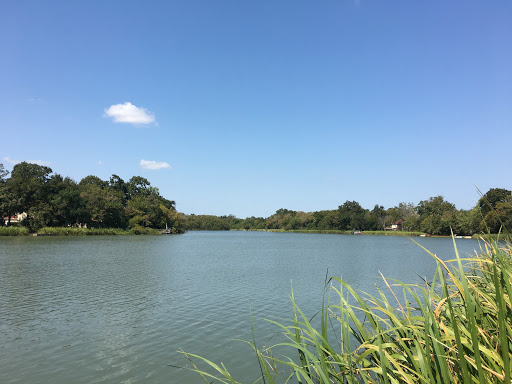 Freedom Tree Park - Visual