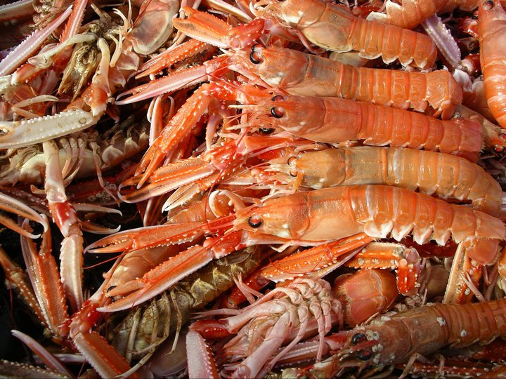 Neptunes Larder photo 2