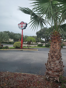 Mr. & Mrs. Crab - St Pete photo