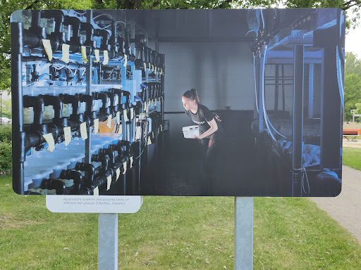 Dialogue Wageningen Campus - Thumbnail