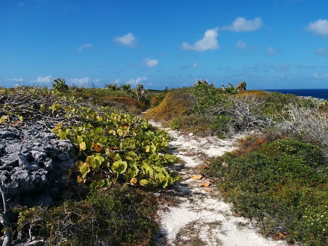 Crow's Nest Beach Cottage