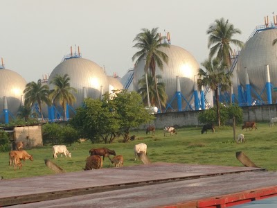 Photos of Puerto Quetzal Disagro Plant