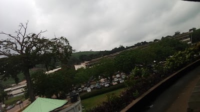 university