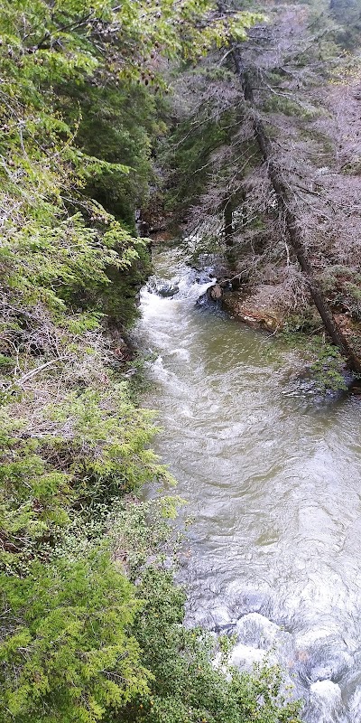 Fall Creek Falls - Family Campground A