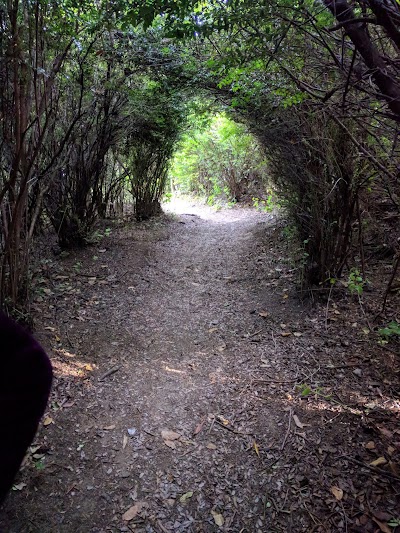 Jessie M. Honeyman Memorial State Park Campground