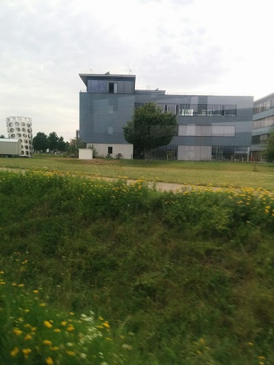 university