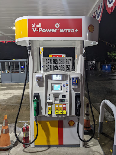 FLEMINGTON SHELL - Visual