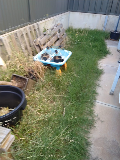 Playford Garden Care - Thumbnail