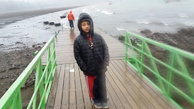 Photos of Camping Los Coihues