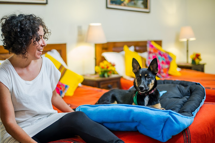 Hotel San Jorge by null