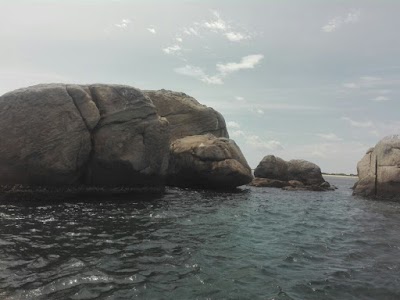 Photos of Kayankerni Coral Reef