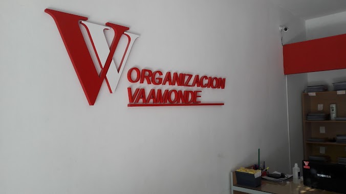 ORGANIZACION VAAMONDE SEGUROS GENERALES, Author: Juan Martín García