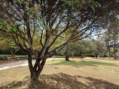 Photos of Rift Valley Academy - AIM