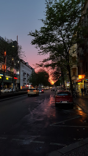 Blumenhaus Arte Blumenhaus Neukölln - Thumbnail