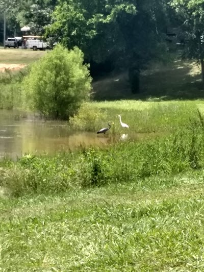 Douglas Lake Campground