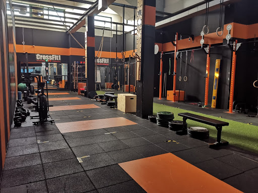 CrossFit 73100 - Thumbnail