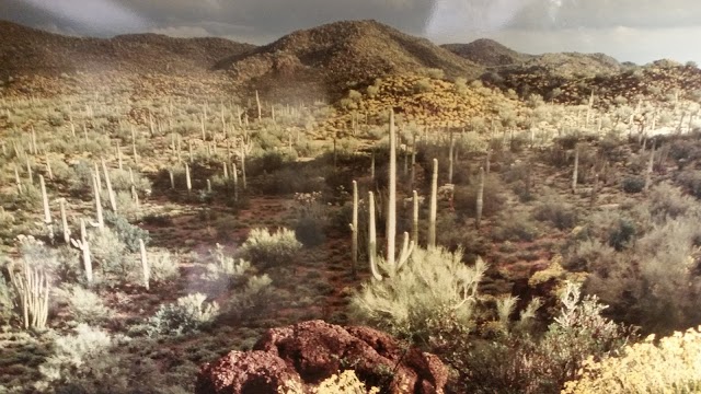 Casa Grande Ruins National Monument