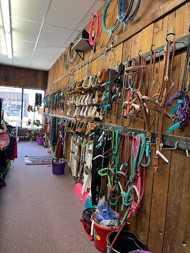MC Horses and Tack Gallery - United States