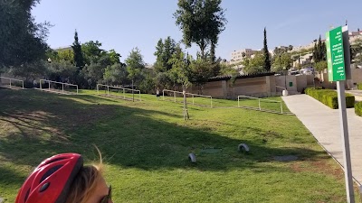 Photos of JUDAICA - AVI LUVATON