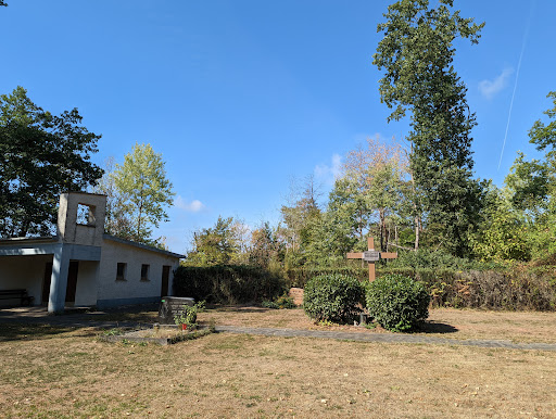 Friedhof Grube Messel