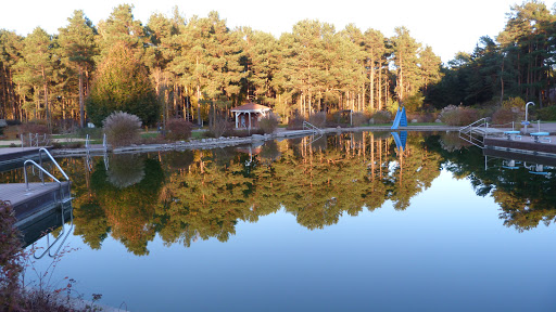 Naturbad Borkheide e.V.