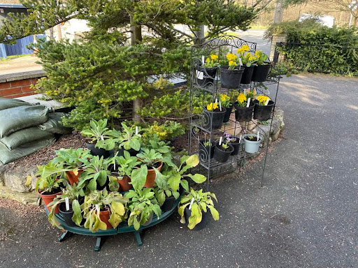 Val's Plant Stall - Thumbnail