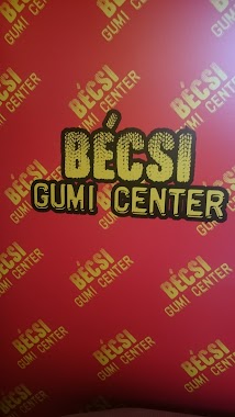 BÉCSI GUMI CENTER, Author: Krisztiàn Lovàcsi