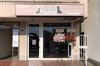 Lulu dog trimming 大船