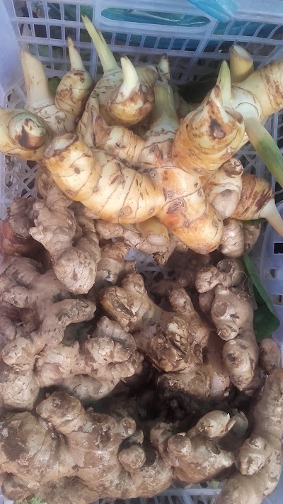 Photos of Chợ Thalat
