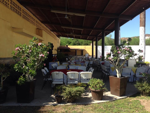 Patios León - Visual