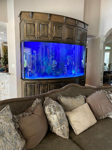 Aquariums Ponds And Services