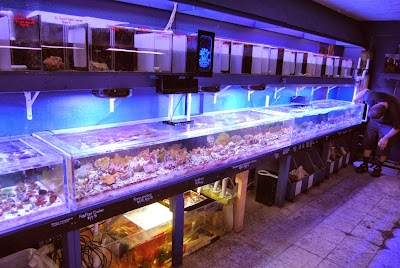 Photos of Inland Aquatics