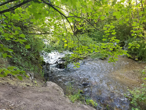 Oakley Stake Ranch - Thumbnail