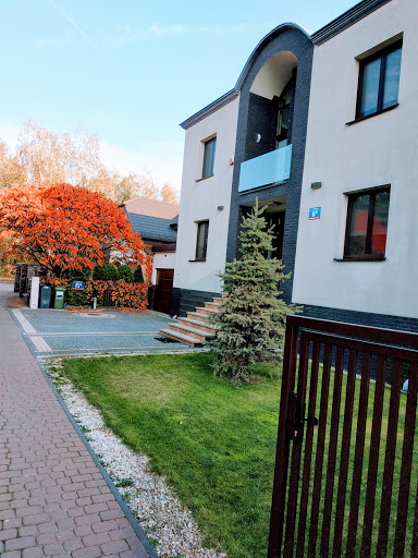 Doradca Podatkowy Jerzy Paluch - fiskus, podatki, księgowa