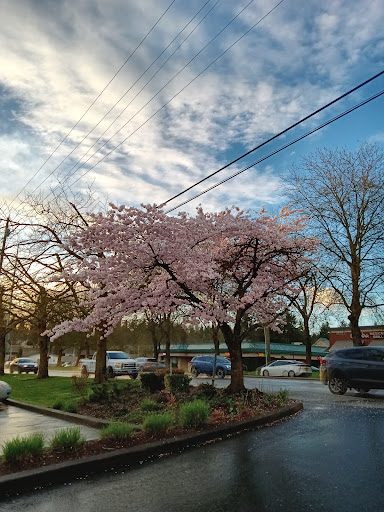 Mill Creek Square - Visual