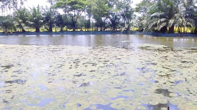 Photos of Tree Ratno Poultry Farm