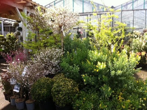 Photo n°19 de DELBARD AUBEVOYE à Le Val d'Hazey (Pépiniériste en gros)