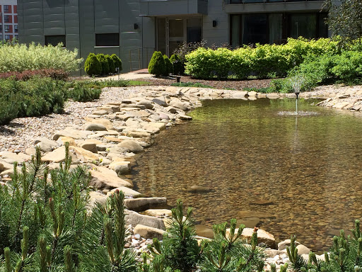 Gabinet Ginekologiczny