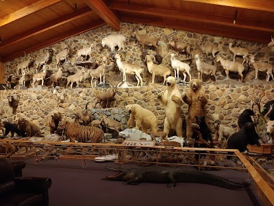 International Wildlife Museum