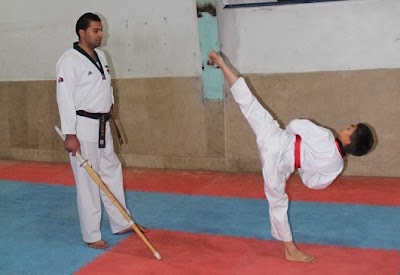 Photos of Iran Poomsae Champion Center
