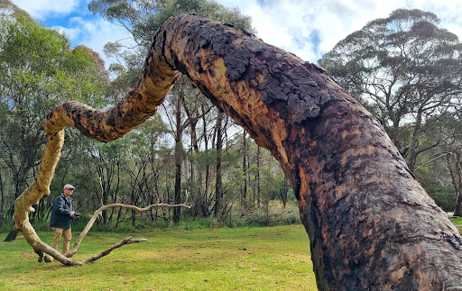 Minnehaha Reserve Carpark - Thumbnail
