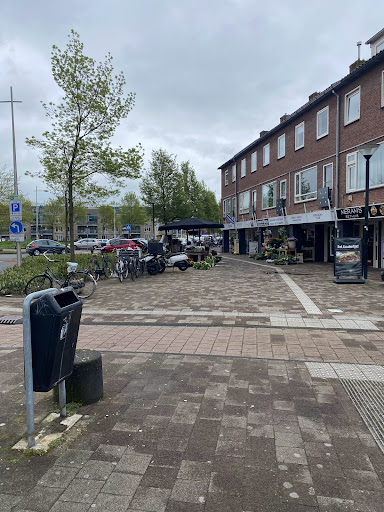 Amersflora - Visual