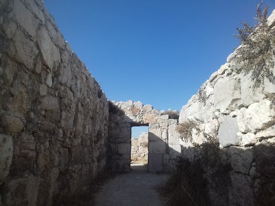 Photos of Jordan Archaeological Museum
