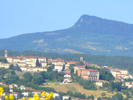 Agenzia Immobiliare Promo - Thumbnail