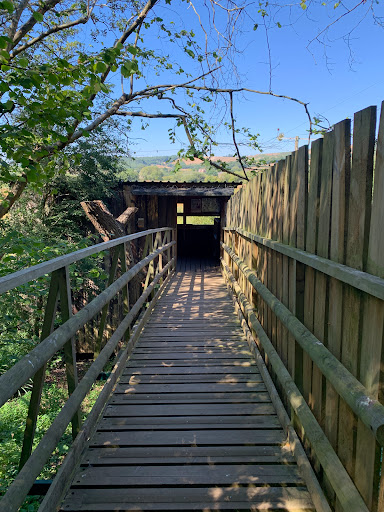 Alverstone Ponds CL